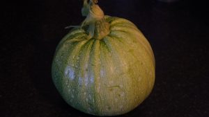 Another courgette