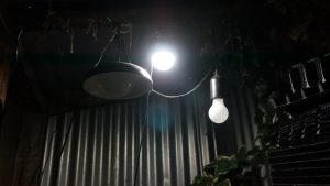 The prodeli solar light hanging in place.