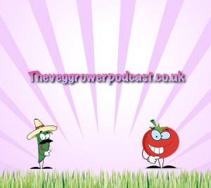 The veg grower podcast. A weekly podcast dedicated to growing our own food on an allotment and vegetable patch.