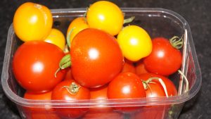 Tomatoes form good plants