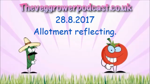 28.8.2017 video from the veg grower podcast. allotment reflecting