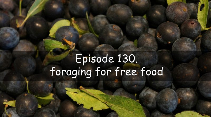 The veg grower podcast episode 130. Foraging for free food.