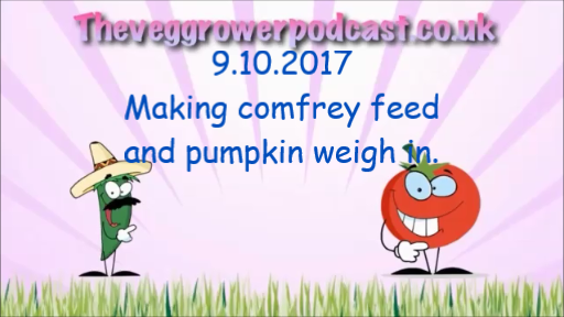video dated 9.10.2017 making comfrey feed and pumpkin weigh in