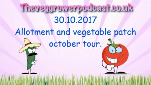 This weeks video from the veg grower podcast, Allotment and vegetable patch tour.