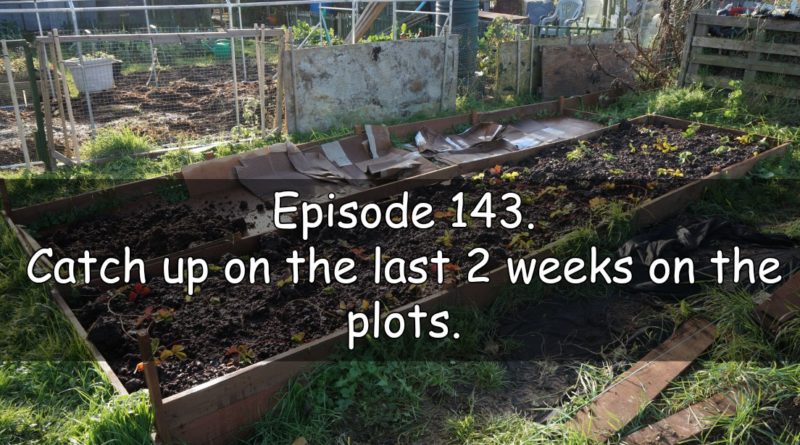Episode 143 from the veg grower podcast. catch up on the last 2 weeks on the plots.