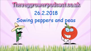 In this weeks video I am sowing peppers and peas.