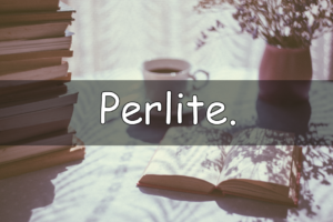 Perlite It's Wednesday which means its time our weekly look at my understanding of a horticultural word. This week we are looking at perlite.