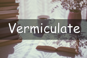 It's Wednesday which means its time for the word of the week. This week we are looking at my understanding of the word vermiculite.