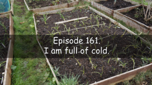 A short episode due to being full of cold.