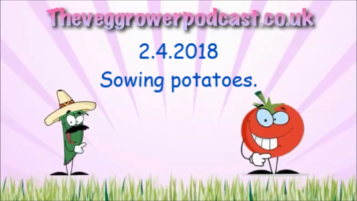 Join me in this weeks video from the veg grower podcast where I am sowing my potatoes.