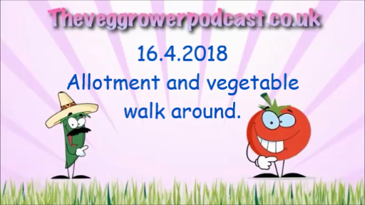 16.4.2018 Allotment and vegetable patch monthly walk around.