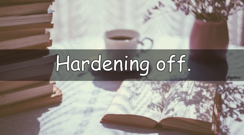 Its that time of the week to look at my understanding of a horticultural word or term. This week we are looking at hardening off.