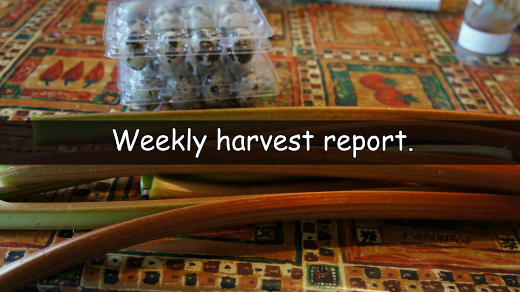 It's time for our weekly harvest report. A weekly look at what has been harvested from our plots this last week and how much that would cost in the shops.
