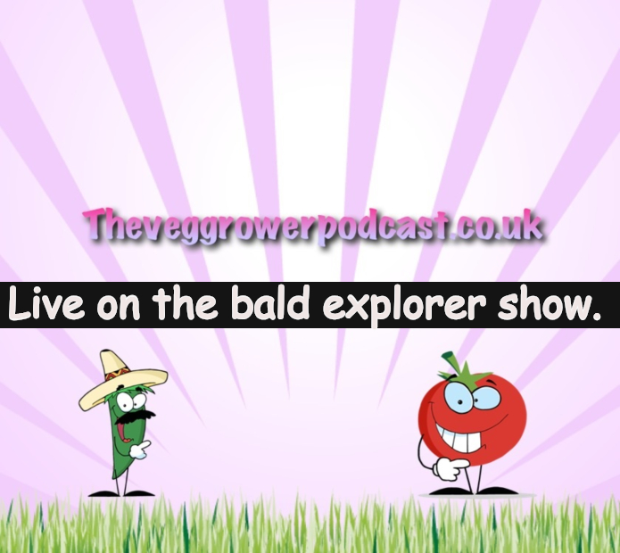 I was lucky enough to be invited back onto the bald explorer's live show. Like last time we were cooking our home/allotment grown food on the show.