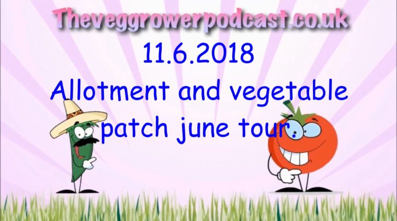 Join me in this week's video from the veg grower podcast where I take my monthly trip around the allotment and vegetable patch.