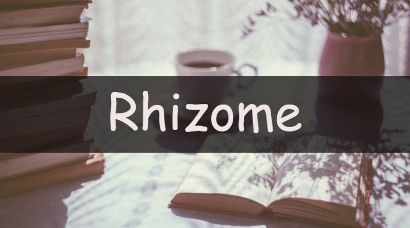 It's Wednesday which means its time to look at my understanding of an horticultural word or term. This week we're looking at the rhizome.
