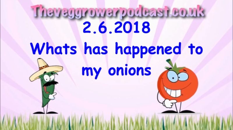 This week's video from the veg grower podcast I appear to have a problem with my onions.