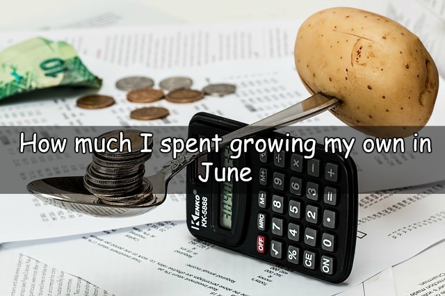Let's take a look at how much did I spend growing my own throughout June.