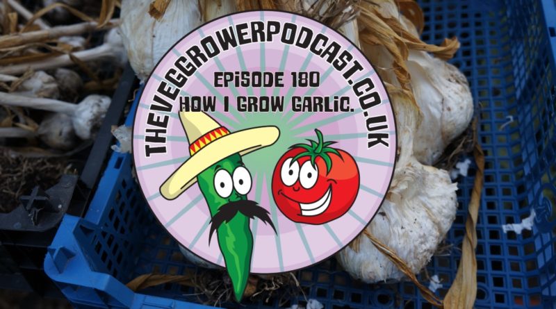 In this podcast I share how I grow garlic. I also share the latest on the allotment and vegetable patch.