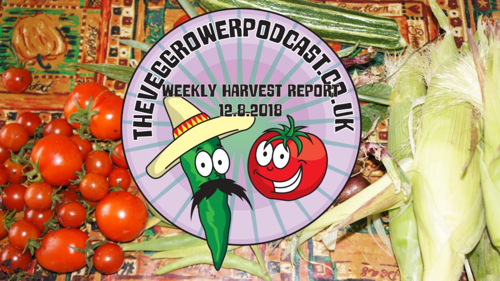Each week I like to share my weekly harvest report. Reporting what has been harvested and how much that would cost if bought from a shop.