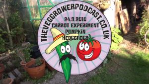 In this week's video I have looked at the carrot experiment, harvested another pumpkin and got some footage of some hedgehogs I found in my garden.
