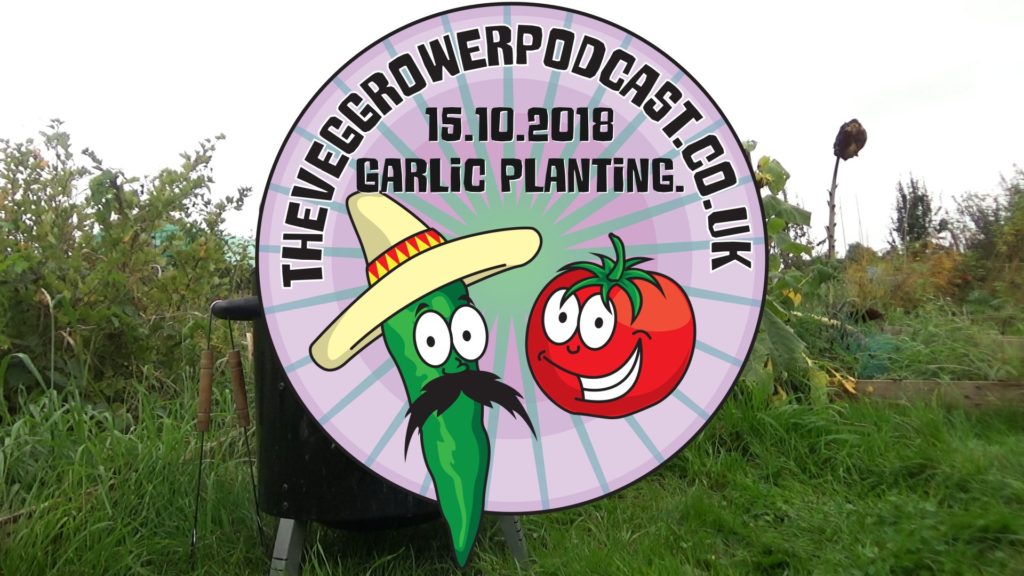 This week I am cooking up some easy pastrami and planting out my garlic.