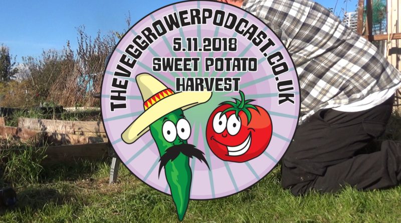In this weeks video I am harvesting my sweet potatoes.