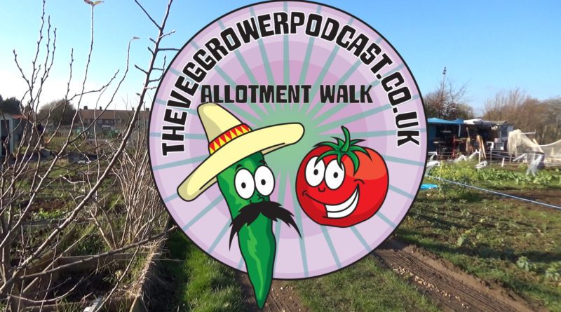 Join me in this weeks video where I shall be walking around my allotment discussing a few plans and taking a look at what's happening at the moment.
