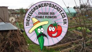 Join me in this weeks vegetable gardening podcast where i'll be discussing my plans to grow a few edible flowers this year and why. I also share the latest on the plots.