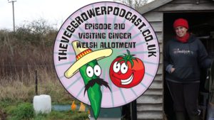 In this weeks podcast I have taken a tour fellow allotmenteer and youtuber Bethan from Ginger welsh allotment. We also have the latest from my plots.
