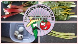 Each week I like to share my weekly harvest report. Reporting what I have harvested over the last week and detailing how much that would have cost from a shop.