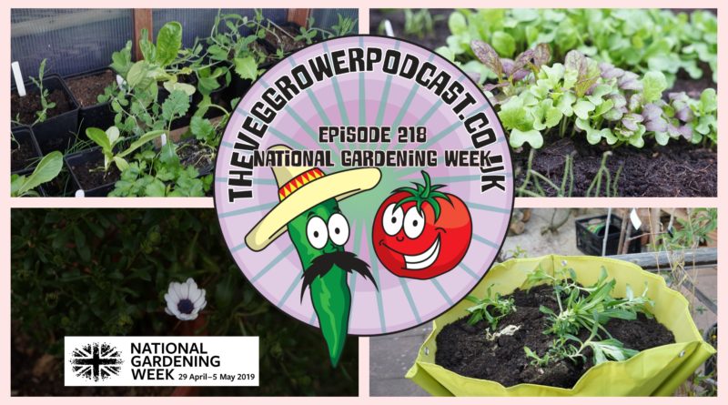 Join me in this week's podcast where I shall be celebrating national gardening week' edible britain and sharing why I love vegetable gardening so much. I also have the latest on the plots.