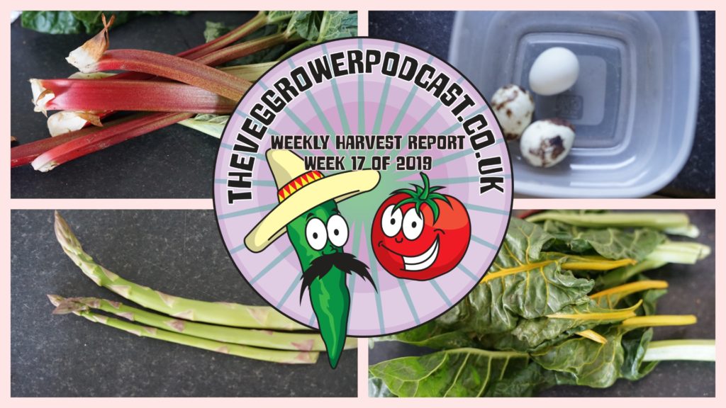 Each week I like to share my weekly harvest report. Reporting what I have harvested over the last week and how much that would have cost from a shop.