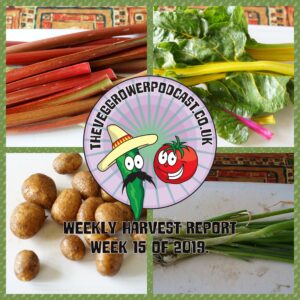 Each week I like to share my weekly harvest report. Reporting what I have harvested over the last week and seeing how much that would have cost from a shop.