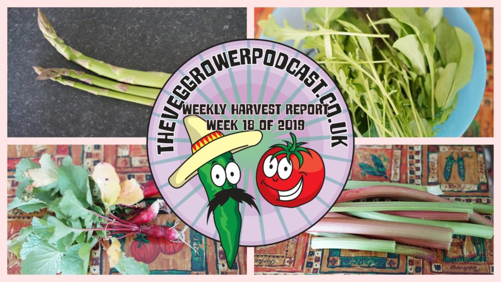 Each week I like to share my weekly harvest report. Reporting what I have harvested over the last week and how much that would have cost from a shop.