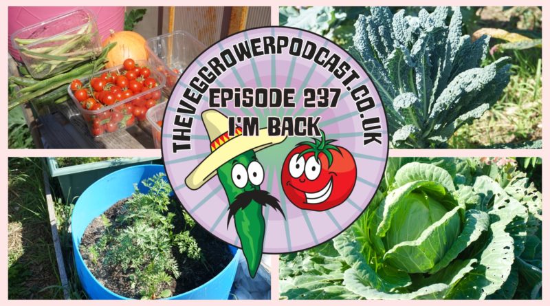 I'm back with the podcast after a couple of weeks off. In this podcast find out what I have been up to on may allotment andf vegetable patch recently.