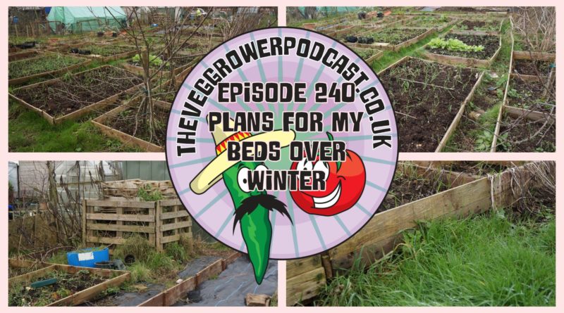 Join me in this week's podcast where I share my plans for my beds over winter. I also share the latest from the plots.