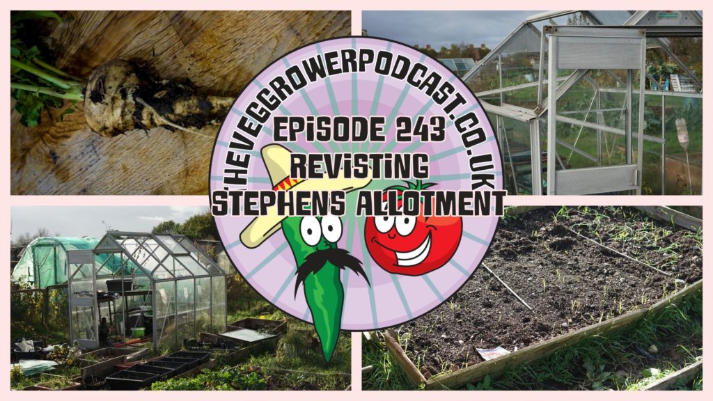 Join me in this week's podcast where I am revisiting Stephen's allotment. I also share the latest from my plots.