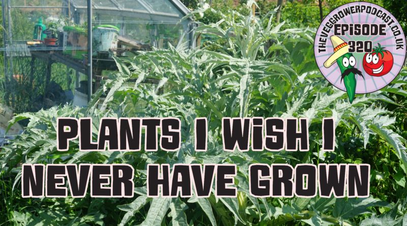 Join me in today's podcast where I shall be discussing a few plants I should never have grown and why. I also have the latest from the plots.