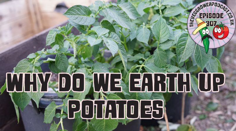 Join me in today's podcast where I share why we earth up potatoes. I also share the latest from the plots.