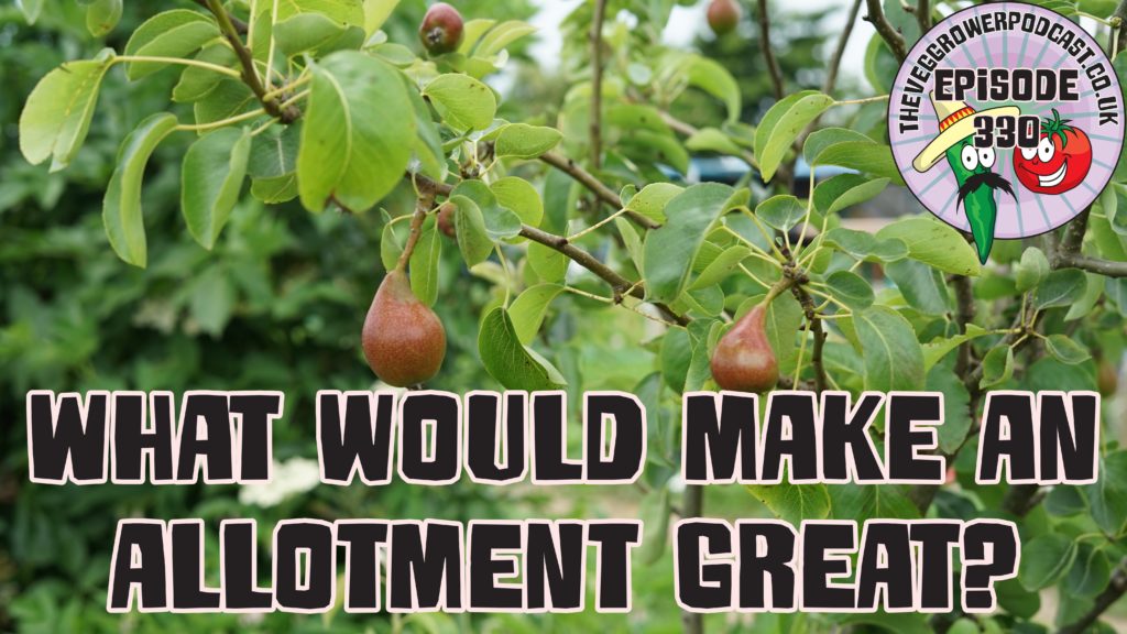 Join me in today's podcast where I am running a thought experiment and asking what features would make an allotment great? I also have the latest from the plots.