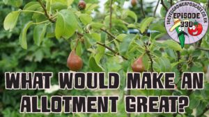 Join me in today's podcast where I am running a thought experiment and asking what features would make an allotment great? I also have the latest from the plots.