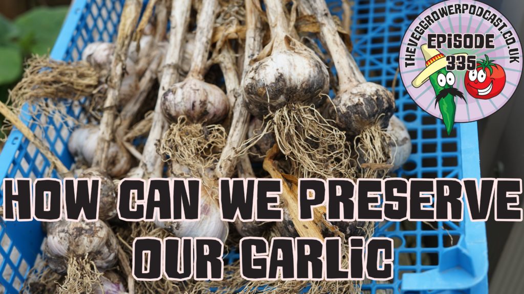 In today's podcast, I am asking how can we preserve our garlic and I have had a productive day on the allotment.