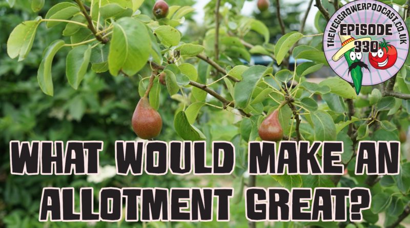 Join me in today's podcast where I am running a thought experiment and asking what features would make an allotment great? I also have the latest from the plots.