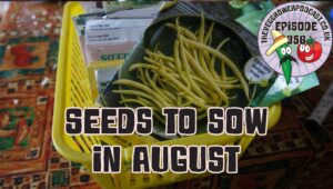 In this podcast I am looking through my seed box to see what veg seeds we can sow throughout August. I also have the latest from the plots.