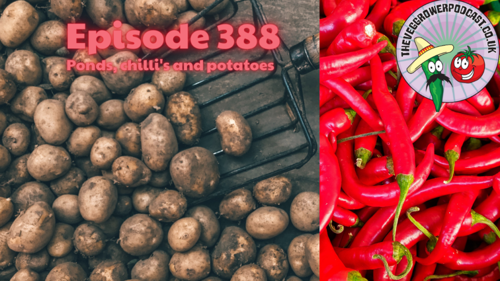 Join me in this weeks podcast where I answer a question about ponds, A question about growing chilli's and share how I grow potatoes. I also share the latest from my plots.