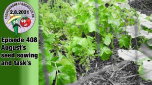 This week on the veg grower podcast Richard is sharing what seeds can be sown in August and what tasks can be tackled. Richard also has the product of the month and the latest from the allotment and vegetable garden