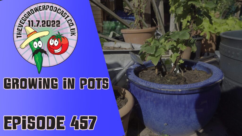 Join Richard in this weeks podcast. This week Ricard has been giving some thought to his pot growing experience. Richard alsos hares the latest from the plots.