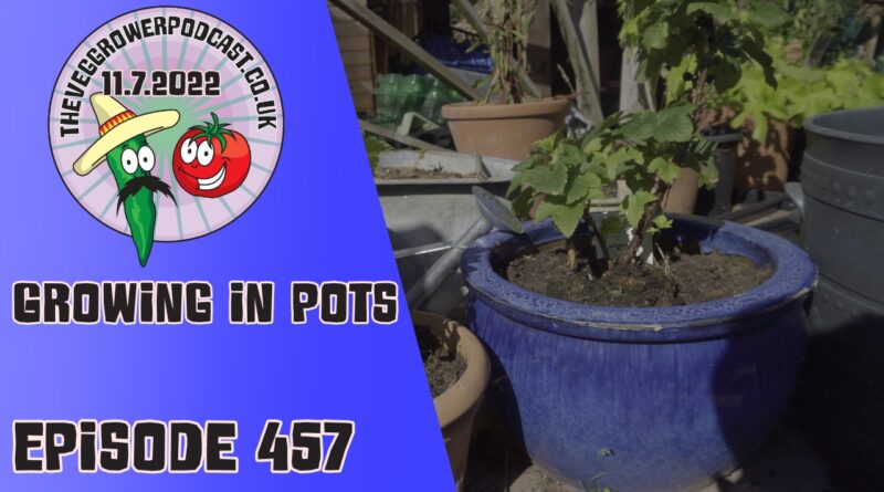 Join Richard in this weeks podcast. This week Ricard has been giving some thought to his pot growing experience. Richard alsos hares the latest from the plots.