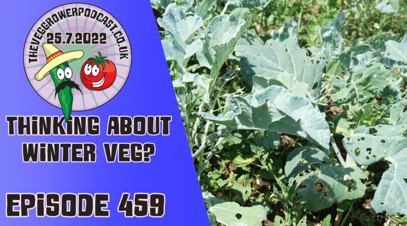 Join Richard in this weeks veg grower podcast where this week Richard is answering a request about winter vegetables. Richard also shares the latest from the plots.